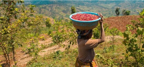 southern province.jpg